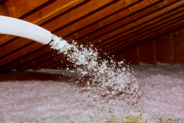 Best Blown-in Insulation in Kapaau, HI