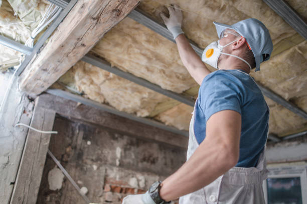Best Fiberglass Insulation in Kapaau, HI