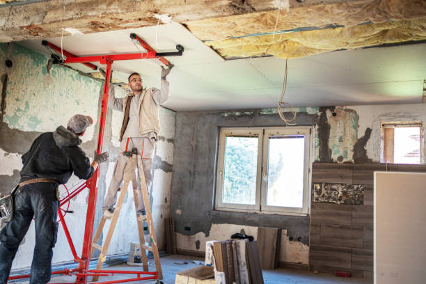 Best Eco-Friendly Insulation in Kapaau, HI