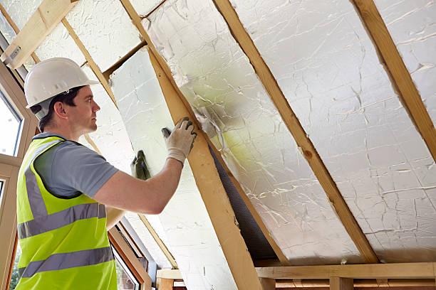 Types of Insulation We Offer in Kapaau, HI