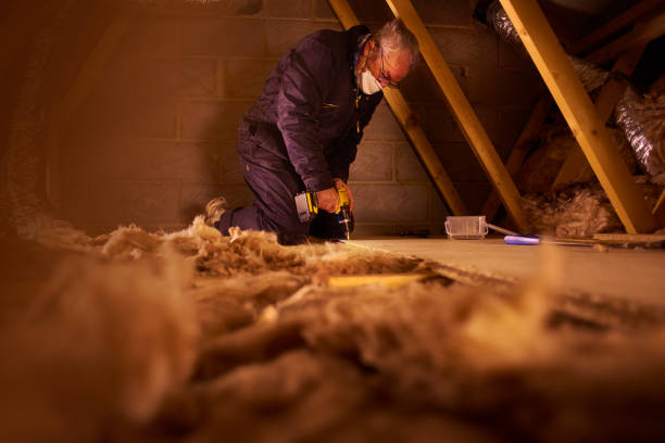 Best DIY Insulation Kits and Guidance in Kapaau, HI